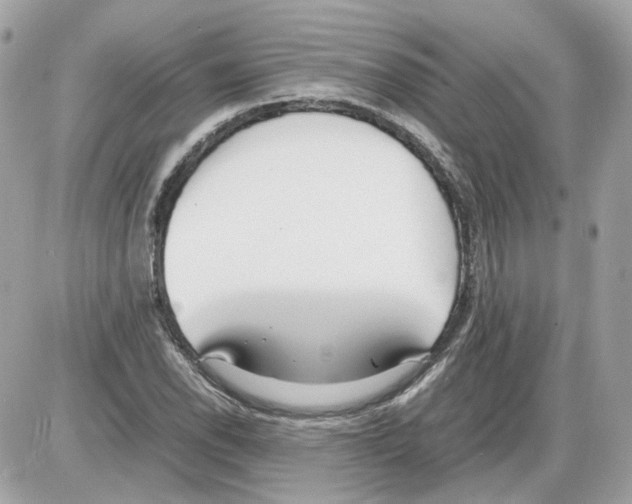 X0000085211118200704091859