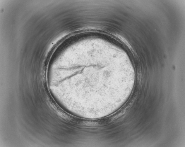 X0000085211119200704091859