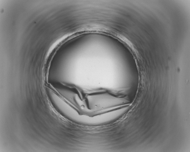 X0000085211120200704091859