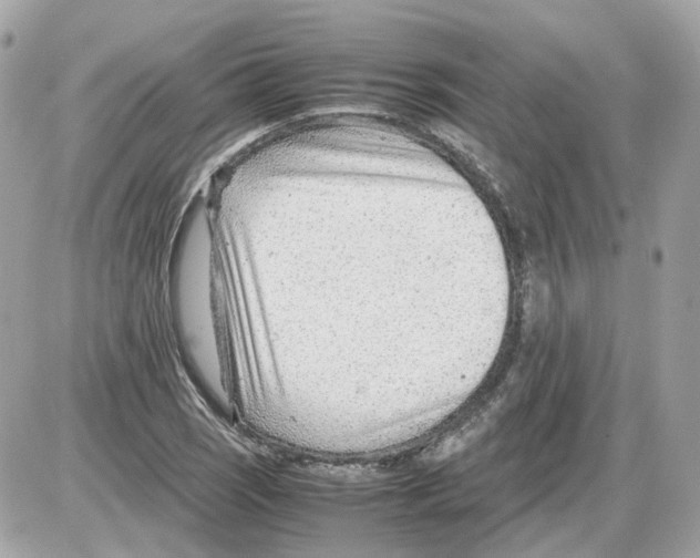 X0000085211121200704091859