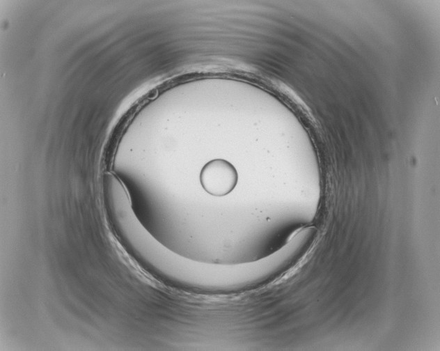 X0000085211122200704091859