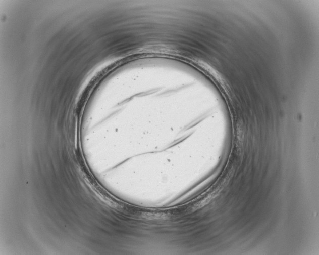 X0000085211123200704091859