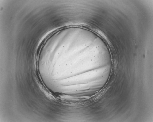 X0000085211124200704091859