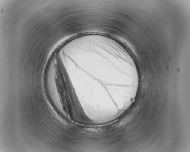 X0000085211125200704091859