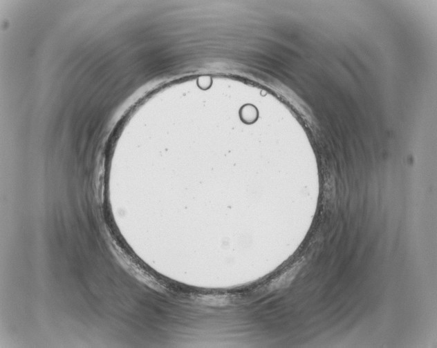 X0000085211126200704091859