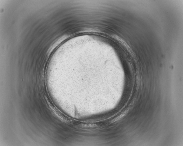 X0000085211129200704091859