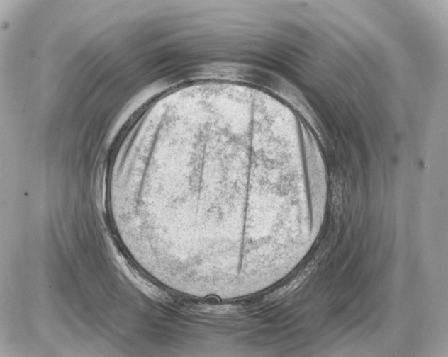 X0000085211131200704091859