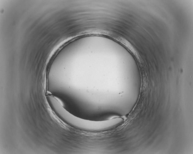 X0000085211132200704091859