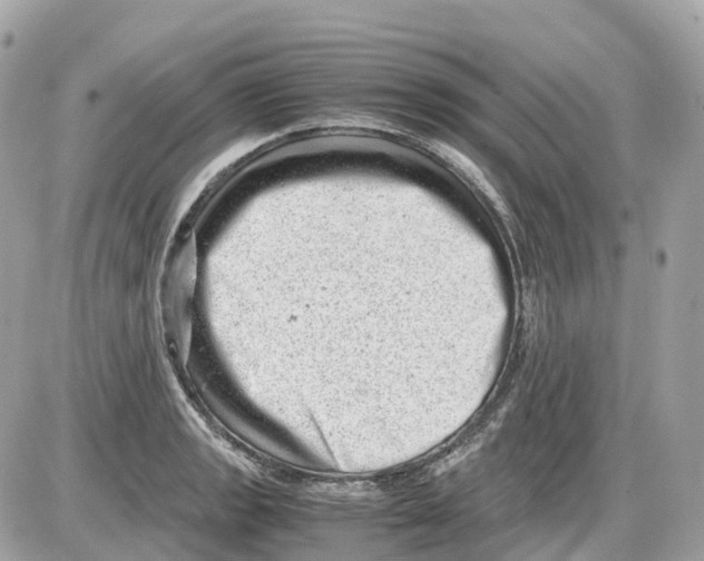 X0000085211133200704091859