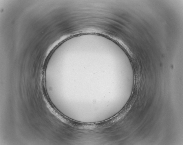 X0000085211134200704091859