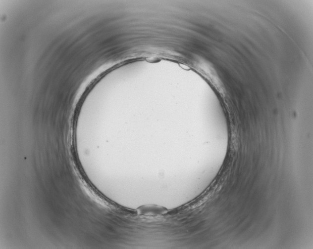 X0000085211136200704091859