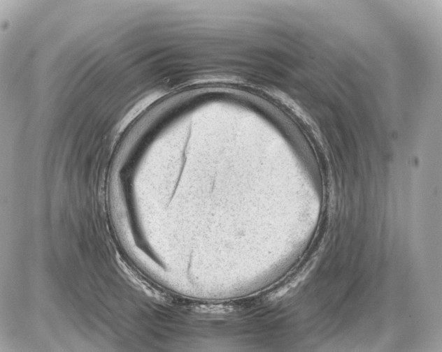 X0000085211137200704091859