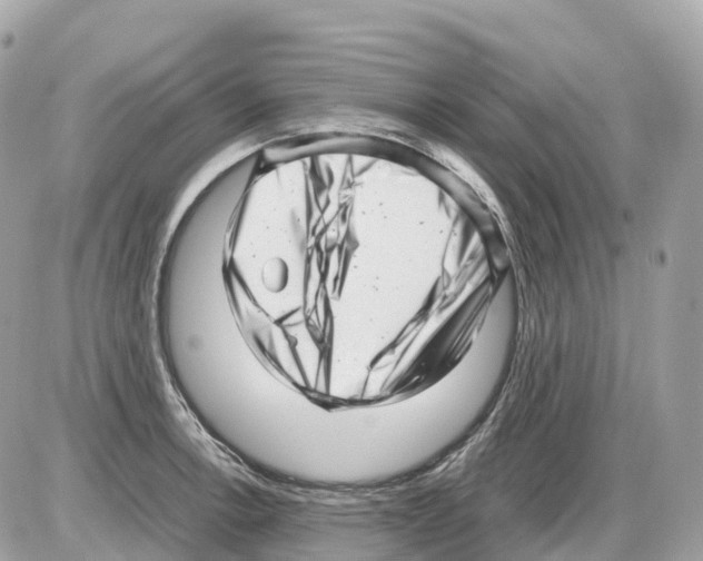 X0000085211138200704091859