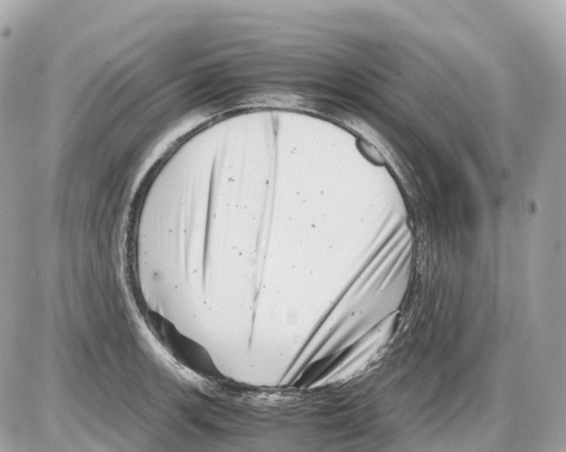 X0000085211139200704091859