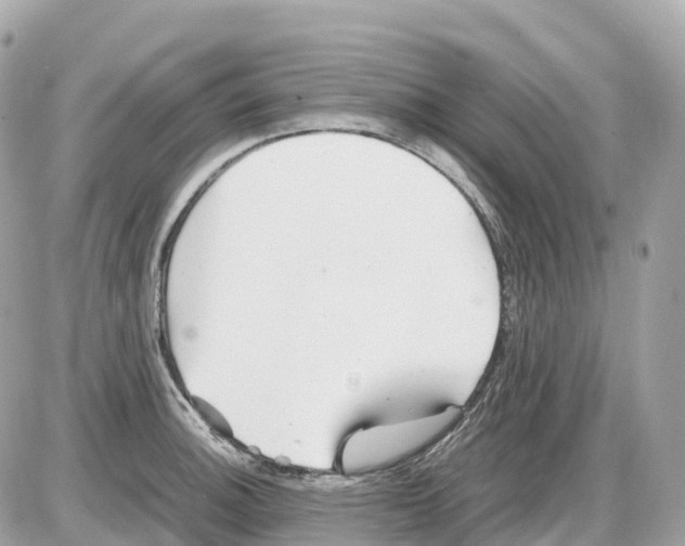 X0000085211140200704091900