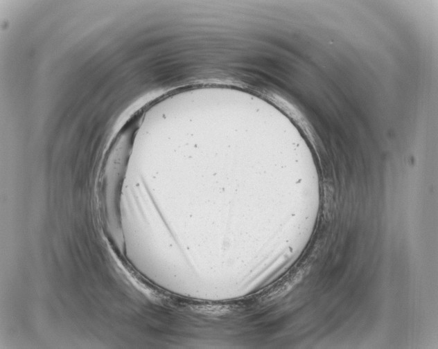 X0000085211141200704091900