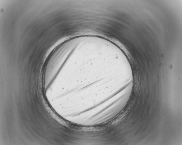 X0000085211142200704091900