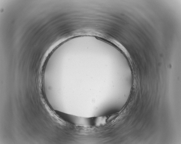 X0000085211144200704091900