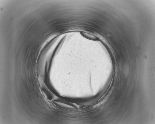 X0000085211145200704091900