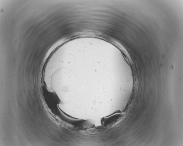 X0000085211146200704091900