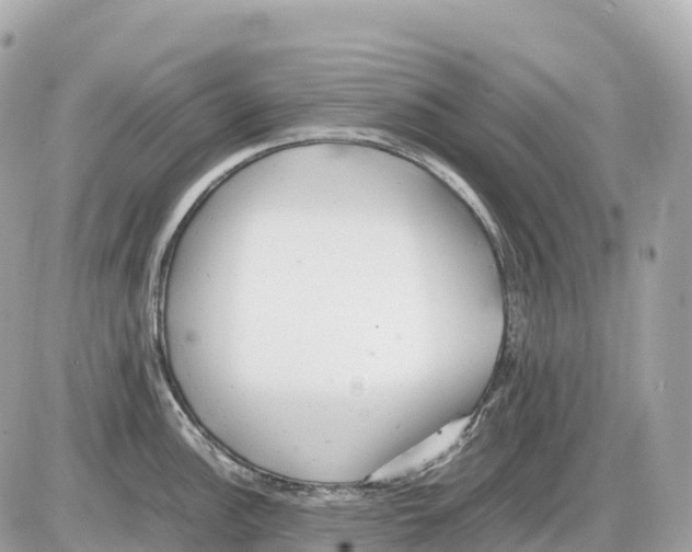 X0000085211148200704091900