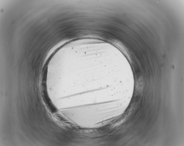 X0000085211149200704091900