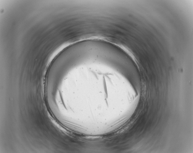 X0000085211151200704091900