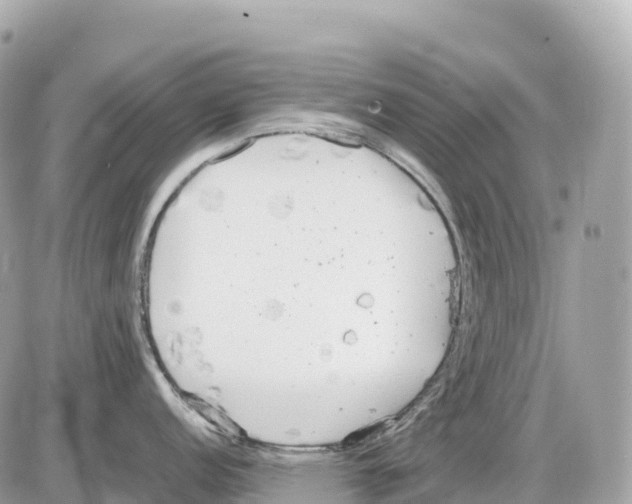 X0000085211152200704091900