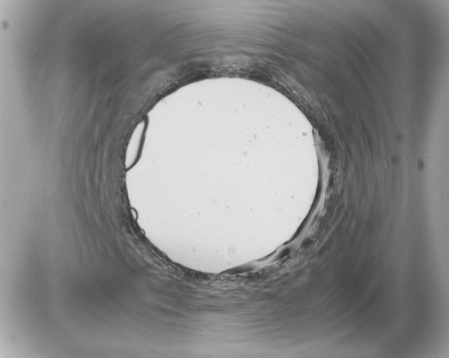 X0000085211153200704091859