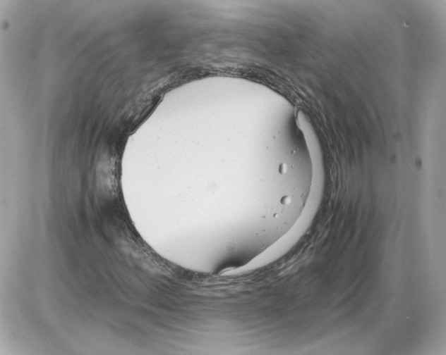 X0000085211156200704091859