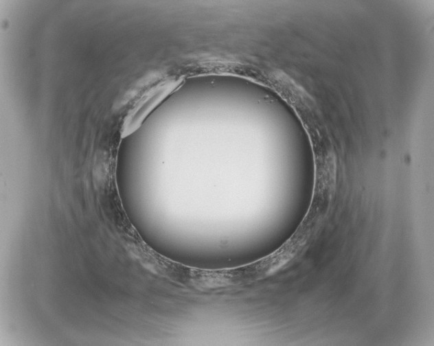 X0000085211157200704091859