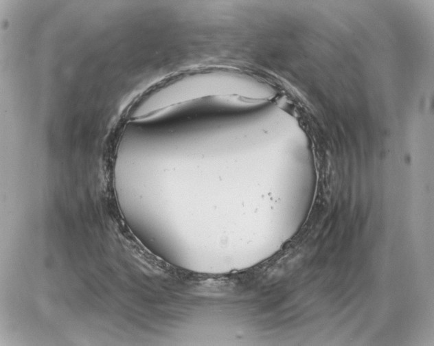 X0000085211160200704091859