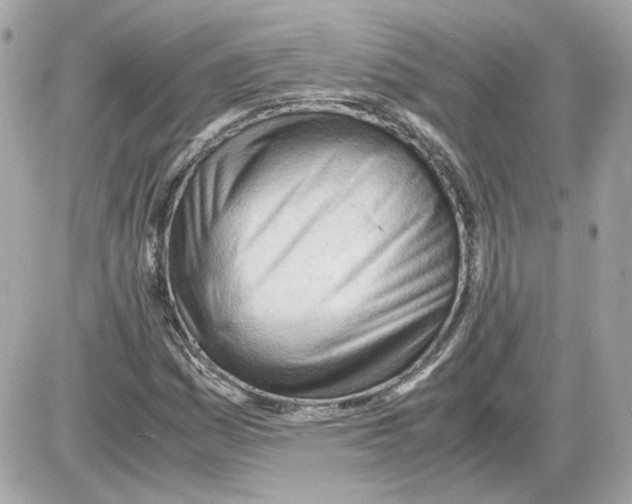 X0000085211161200704091859