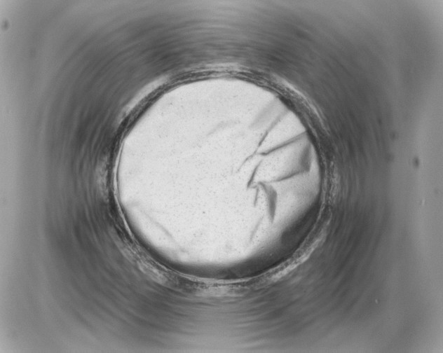 X0000085211162200704091859