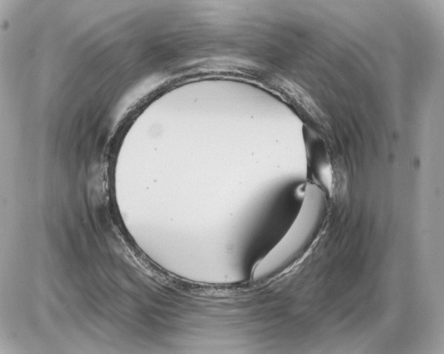 X0000085211164200704091859