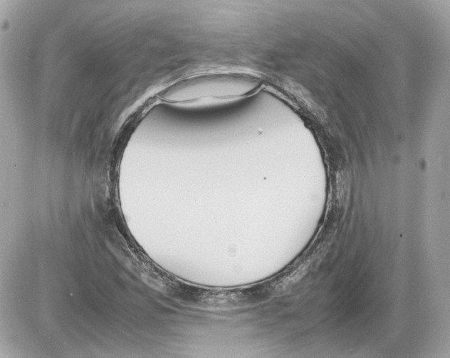 X0000085211165200704091859