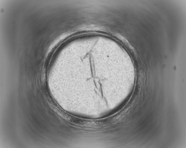 X0000085211167200704091859