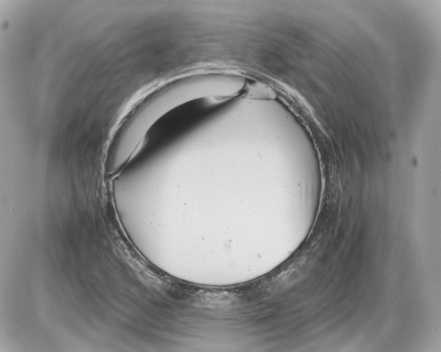 X0000085211168200704091859