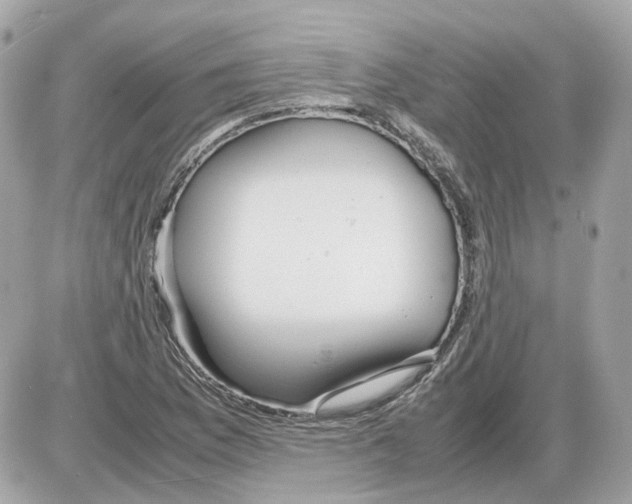 X0000085211169200704091859