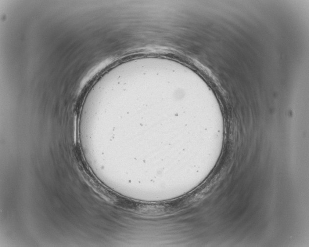 X0000085211171200704091859