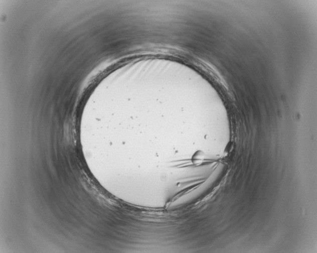 X0000085211172200704091859