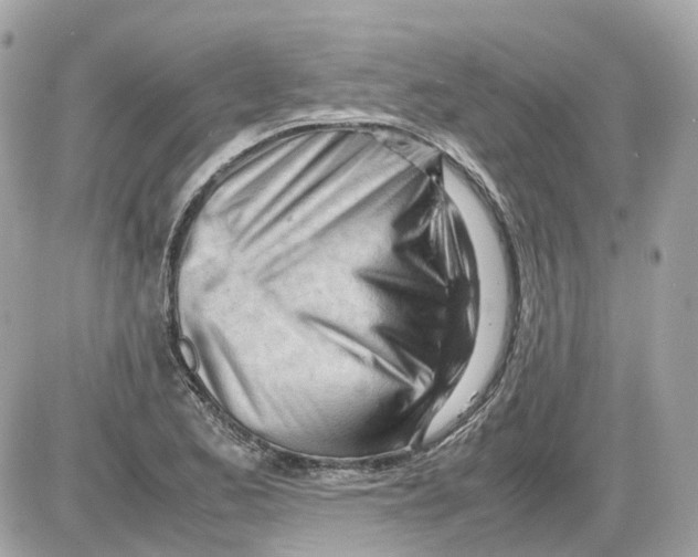 X0000085211173200704091859