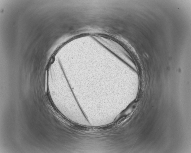 X0000085211175200704091859