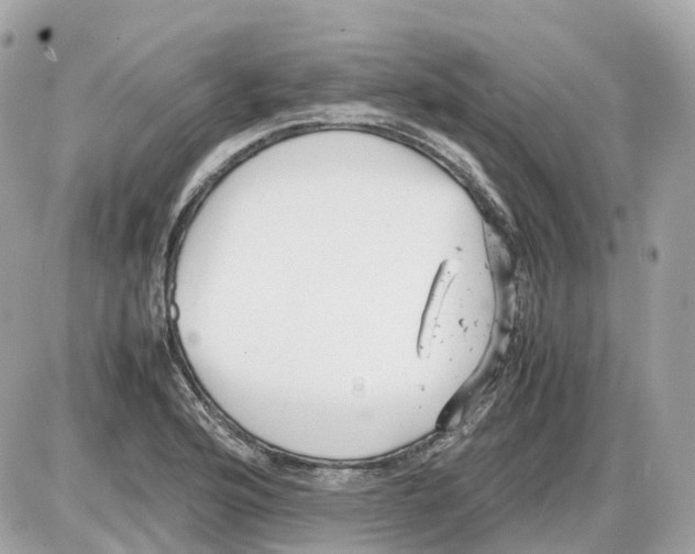 X0000085211176200704091859