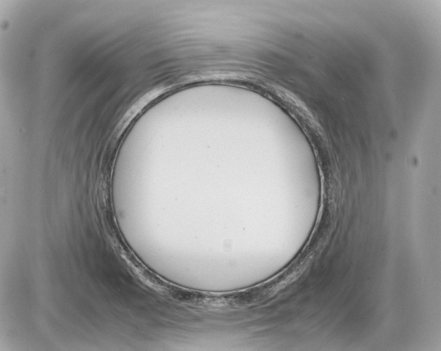 X0000085211177200704091859