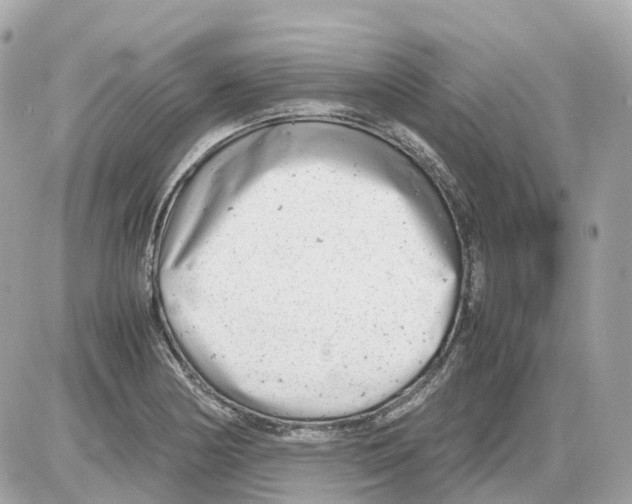 X0000085211178200704091859