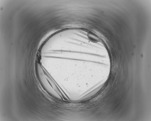 X0000085211179200704091858