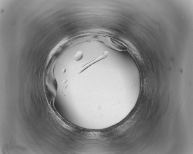 X0000085211180200704091858