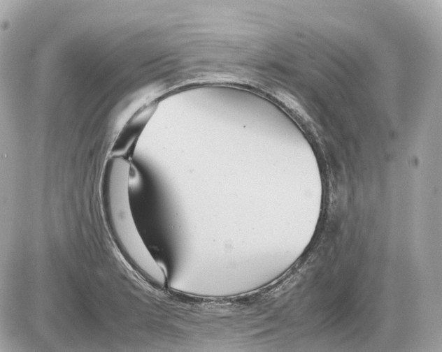 X0000085211181200704091858