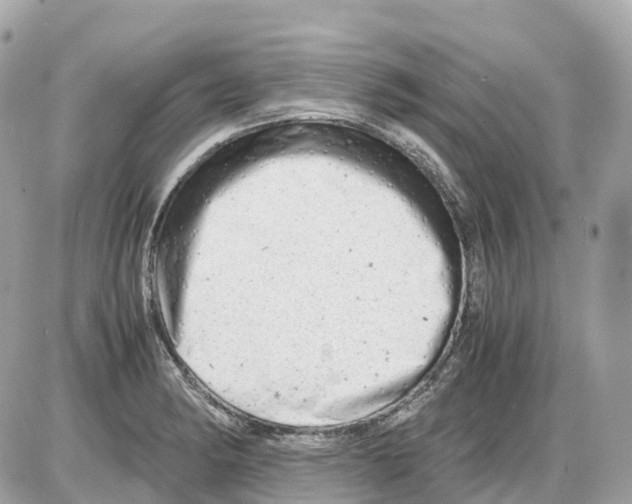 X0000085211182200704091858